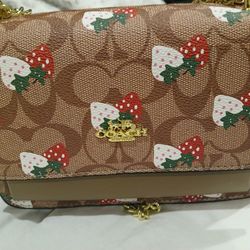 Coach Purse 👛 Only