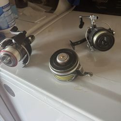 Variety Of Reels