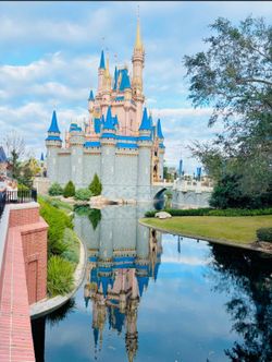 DISNEYLAND $150 EACH FIRM 🎫🎟️🎫🎟️🎫🎟️🎫🎟️🎫🎫