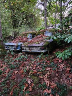 1962 Corvair  have 2 parting out 200 bucks a piece