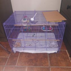 Bird Cage