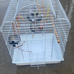 Bird Cage 