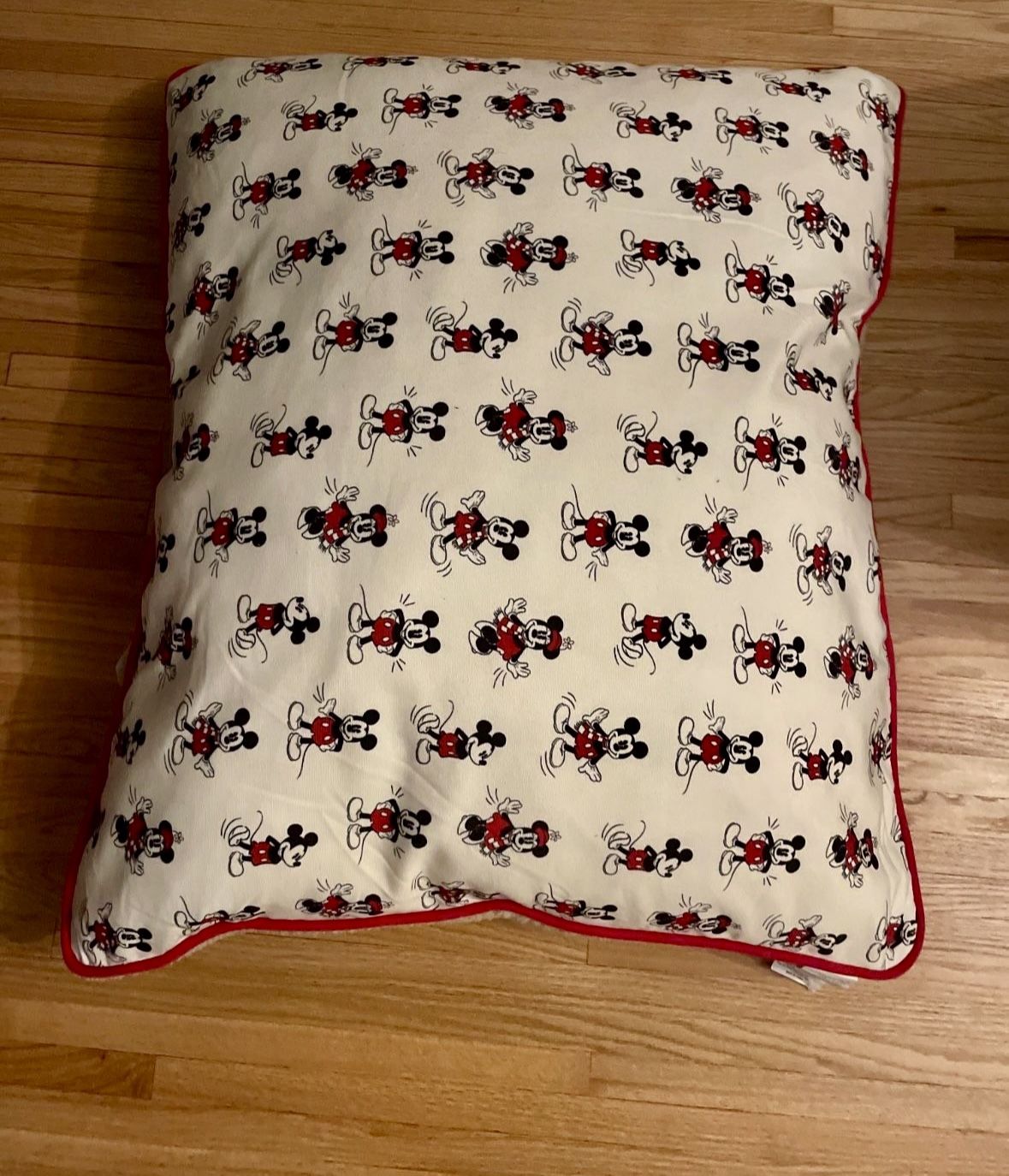 πΆ Mickey Mouse Dog Bed β Large, Never Used