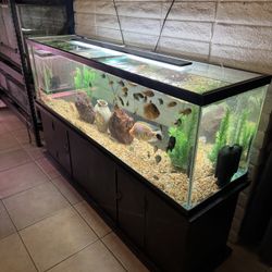 Fish Tank Aquarium 125 Gallon 