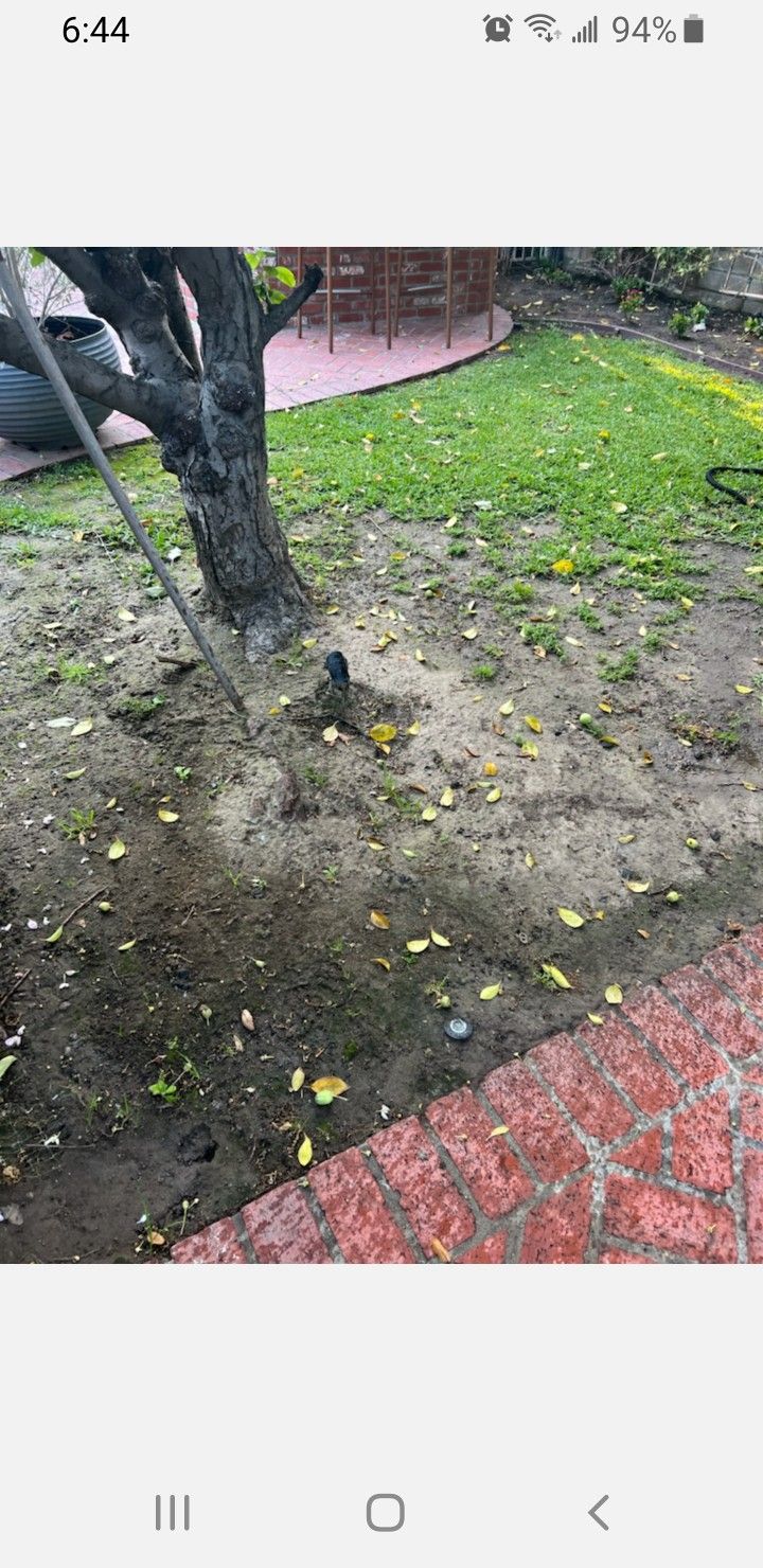 N Irrigation For Plants