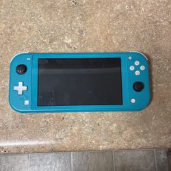 Nintendo lite