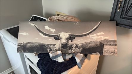 Cow picture