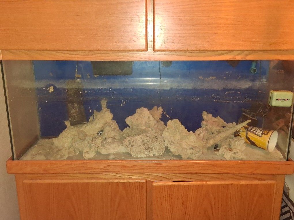 Saltwater Fish Tank - 55 Gallon - Oak Stand & Hood 