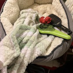 Doggie Bed - Clothes- Blankets - Little Poop Bags- Brushes 