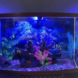50 Gallon Aquarium Tank With All Parts Complete 