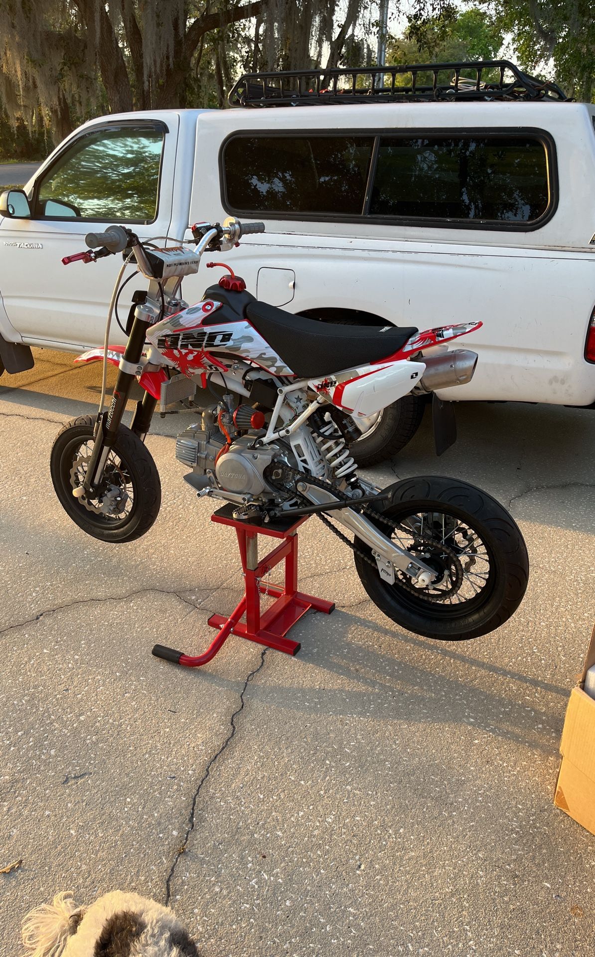 Pit Bike