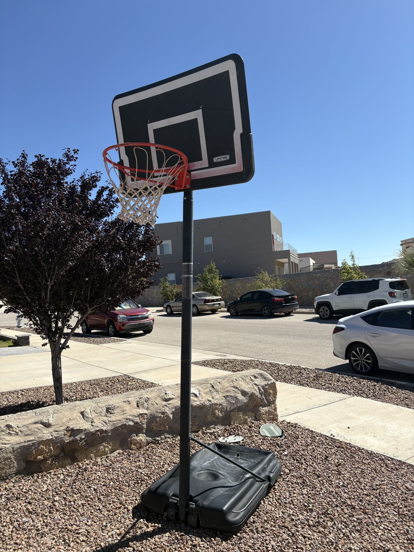 Free Standing Basketball Hoop
