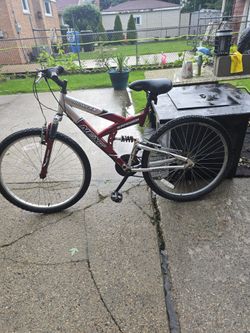 Adult Bike 26in