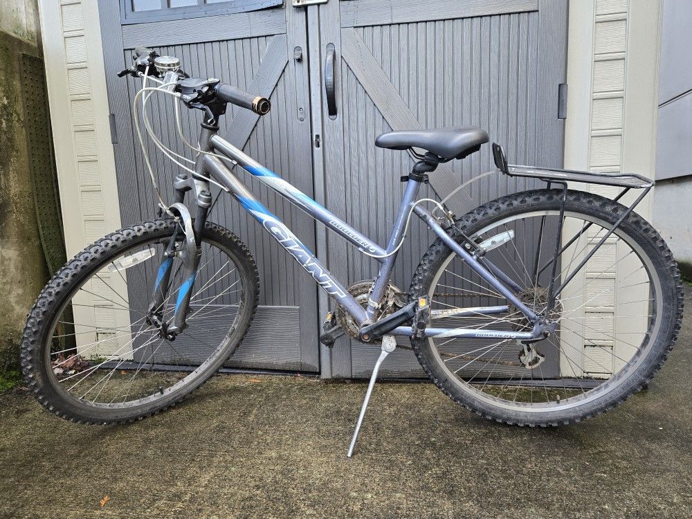Giant Boulder Mountain Bike 17"