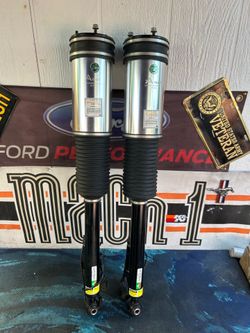 Arnott AS-2884  (99-06 Mercedes-Benz S-Class (W220) left or right) air struts