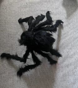 3 Halloween spiders for $6