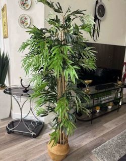 Pretty artificial plant 6 ft tall bamboo tree ! Brand New