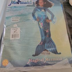 Mermaid Costume