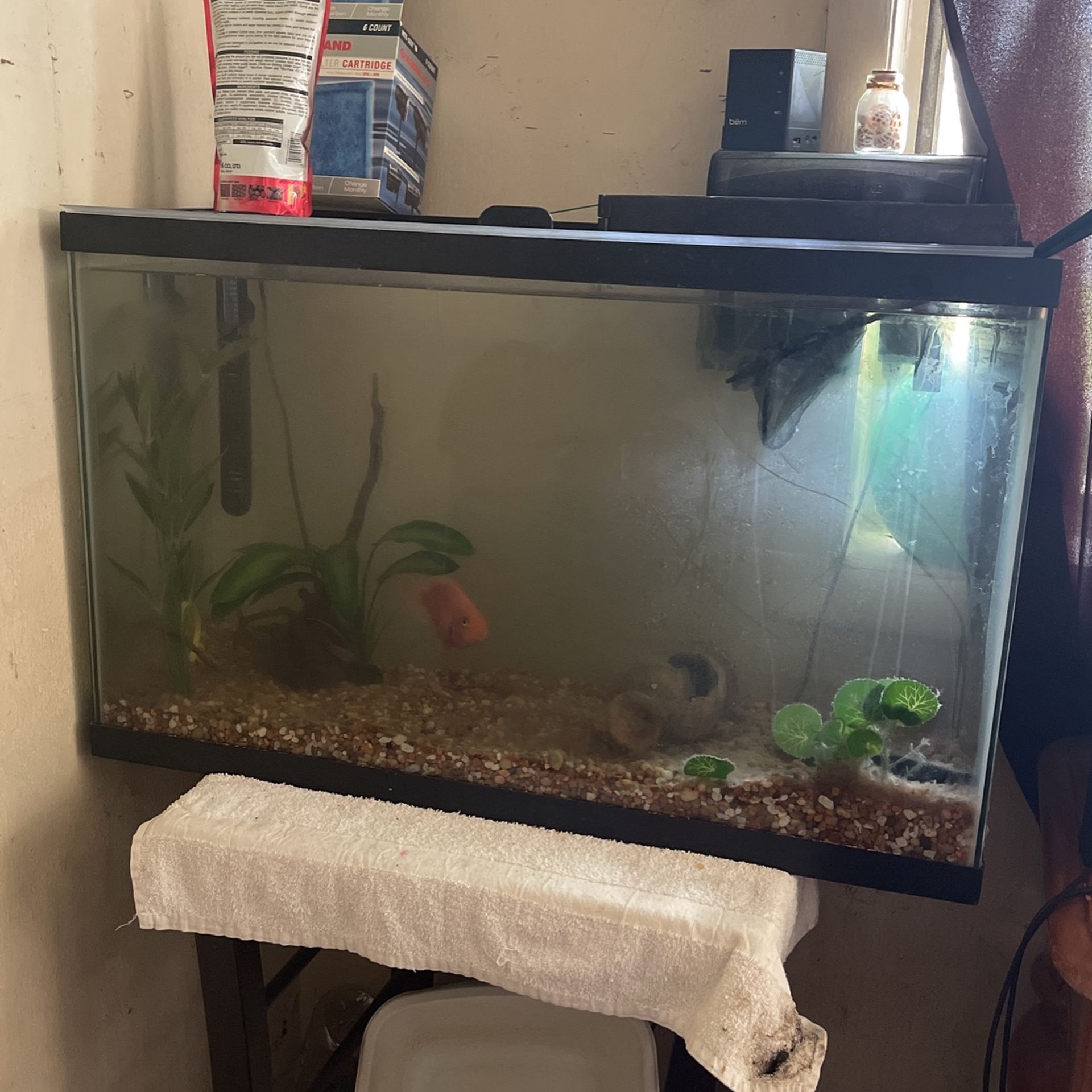30Gallon Fish Tank(with Accessories)