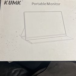 Portable monitor
