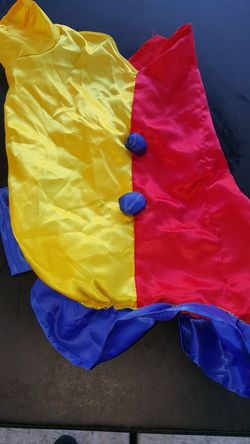 Clown dog costume