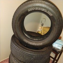 Michelin All Purpose Tires
