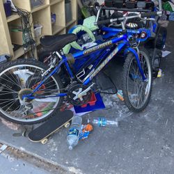 Pacific Quicksilver Bike