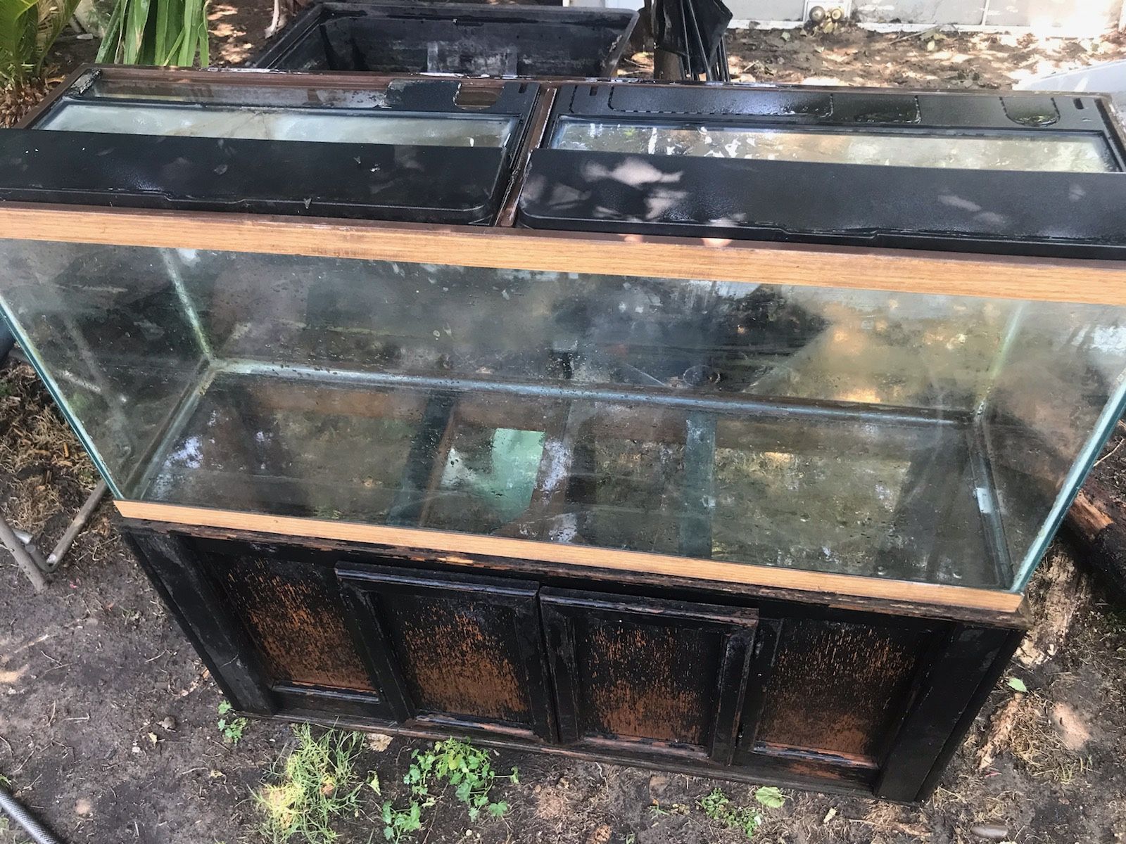 Fish Tank