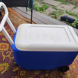 Igloo Cooler 