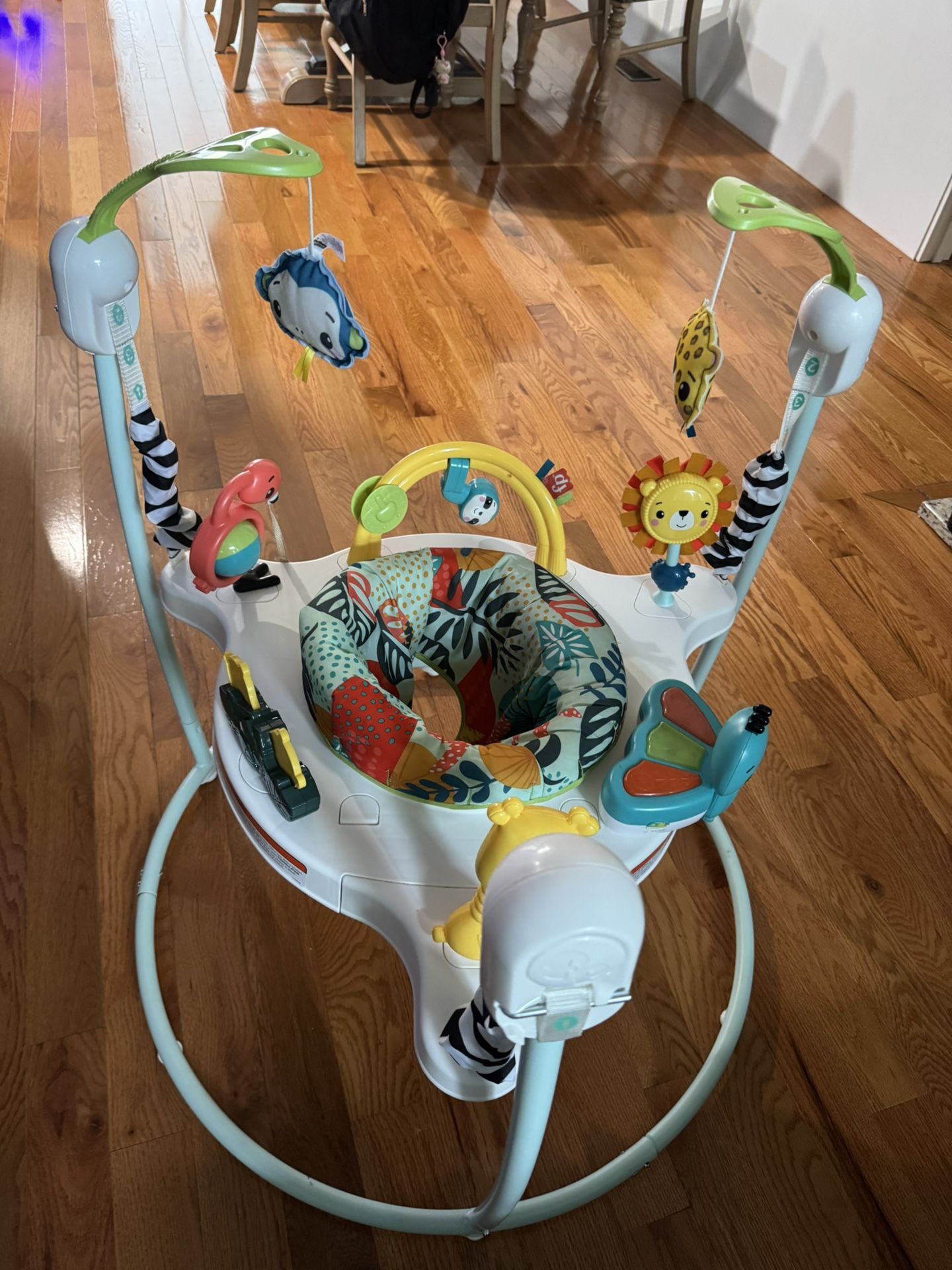 Jumperoo Baby Jumper