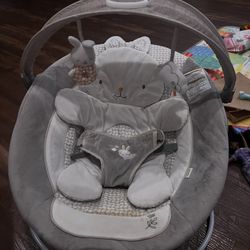 Ingenuity Baby Bouncer