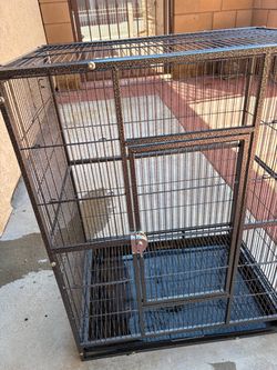 Bird cage!