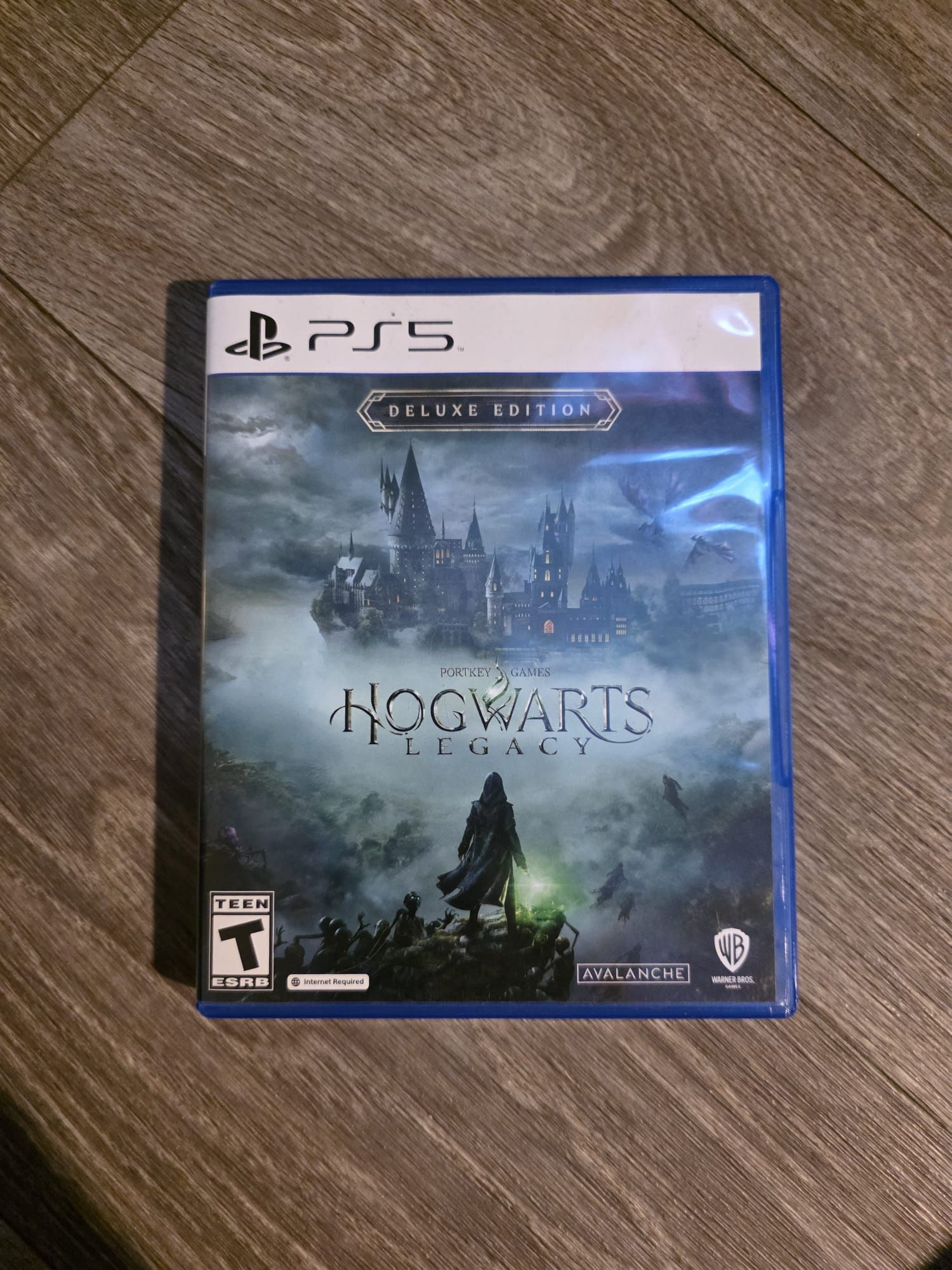 Hogwarts Legacy Ps5
