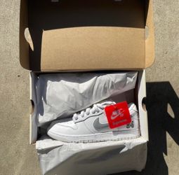 Supreme x Dunk Low SB White Metallic Silver