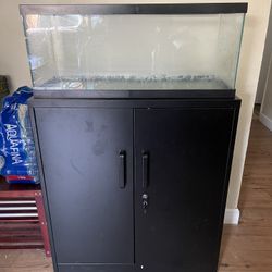 Fish Tank And Stand 