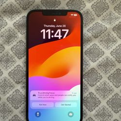 Unlocked 12 Pro Max Mint Condition 128 Gb