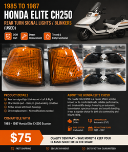 (Rear Turn Signal Lights/Blinkers)