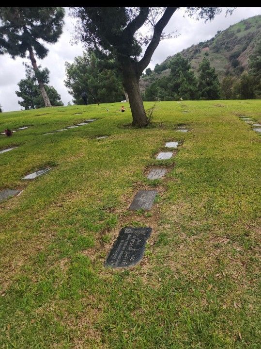 Plot For Sell By Owner 