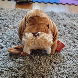 Stuffed Walrus