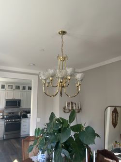 Brass Chandelier with Glass Shades