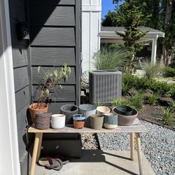 Pots For Houseplants 