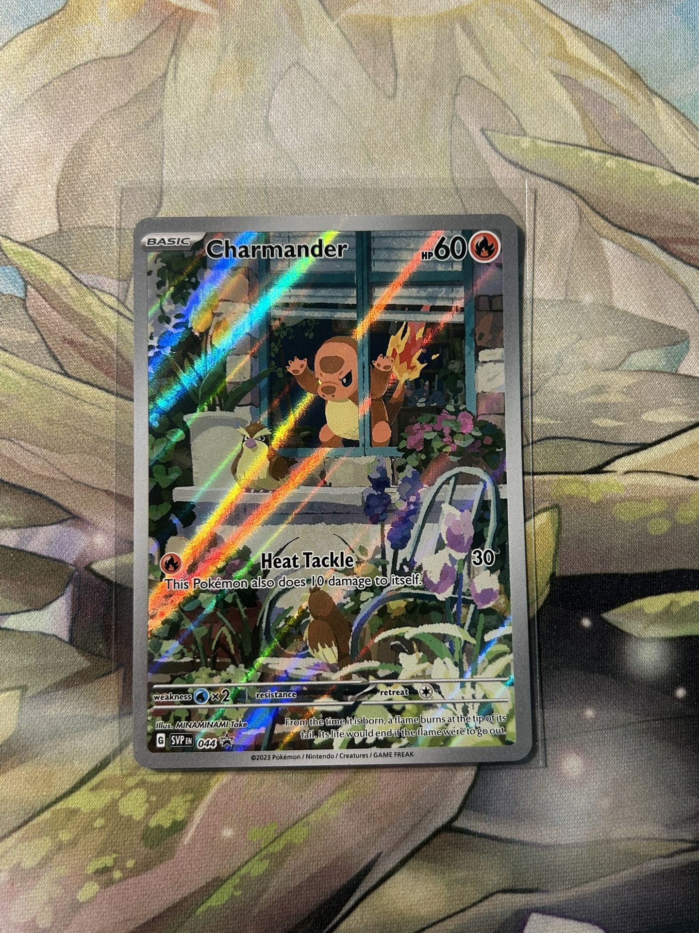 Pokemon Charmander Promo Obsidian Flames