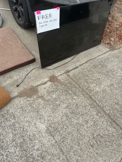 Free tv dog beds