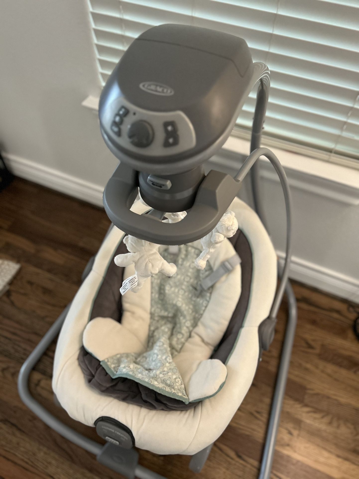 Graco Baby Swing 