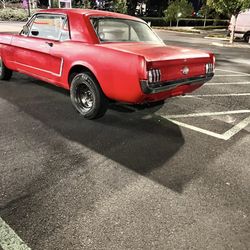 1964 1/2 Mustang 