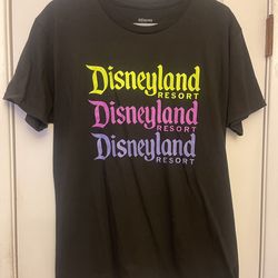 Medium Adult Black Disneyland Resort Tee Shirt