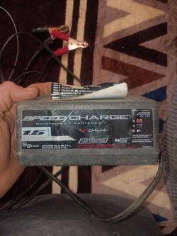 Speed charge maintainer does 6 volts and 12 volt batteries