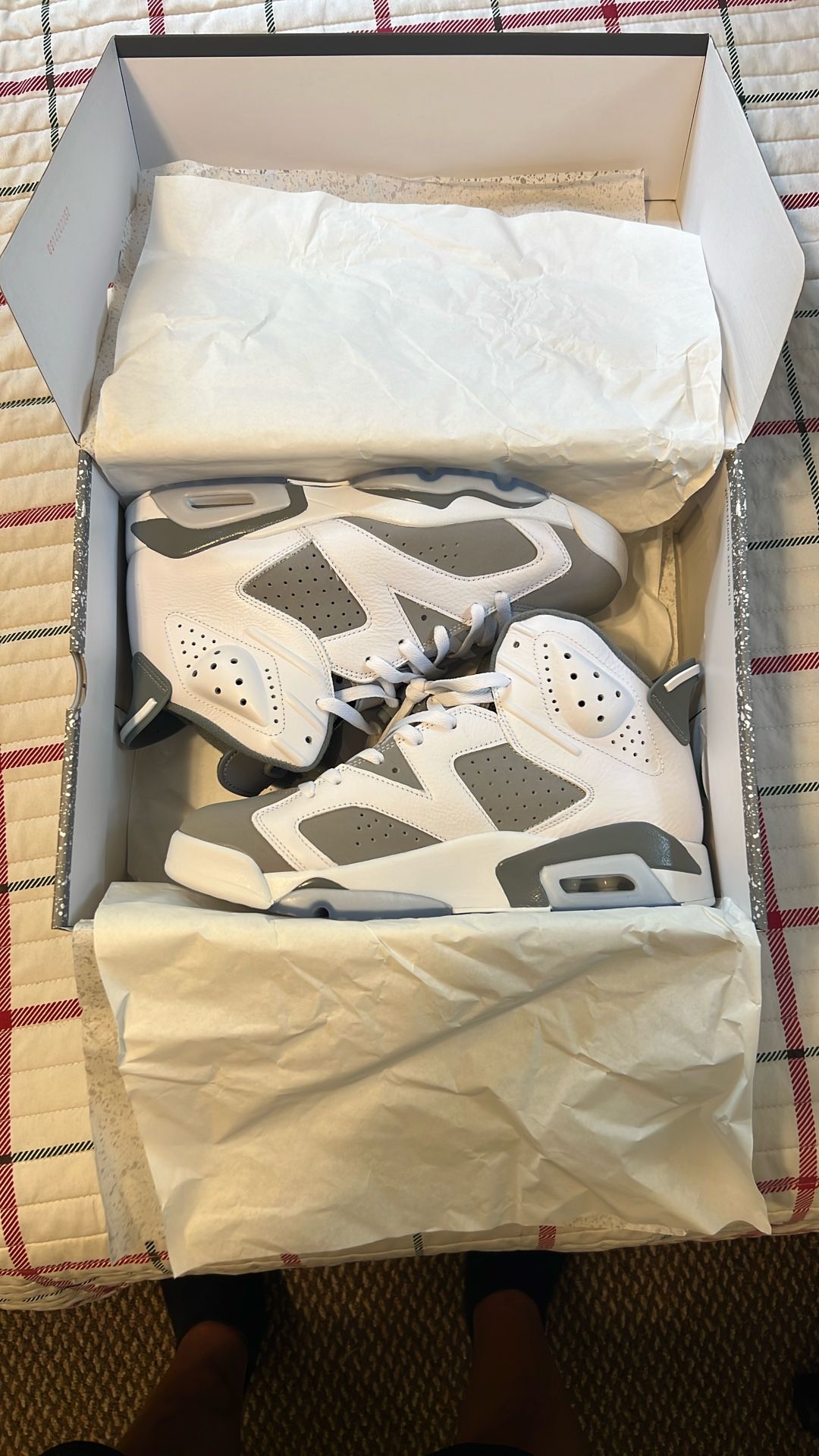 Jordan 6