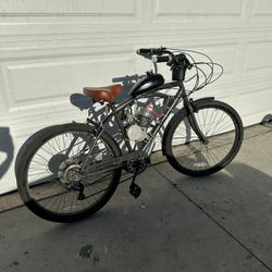 Beach Cruiser 80cc