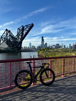 Throne fixie